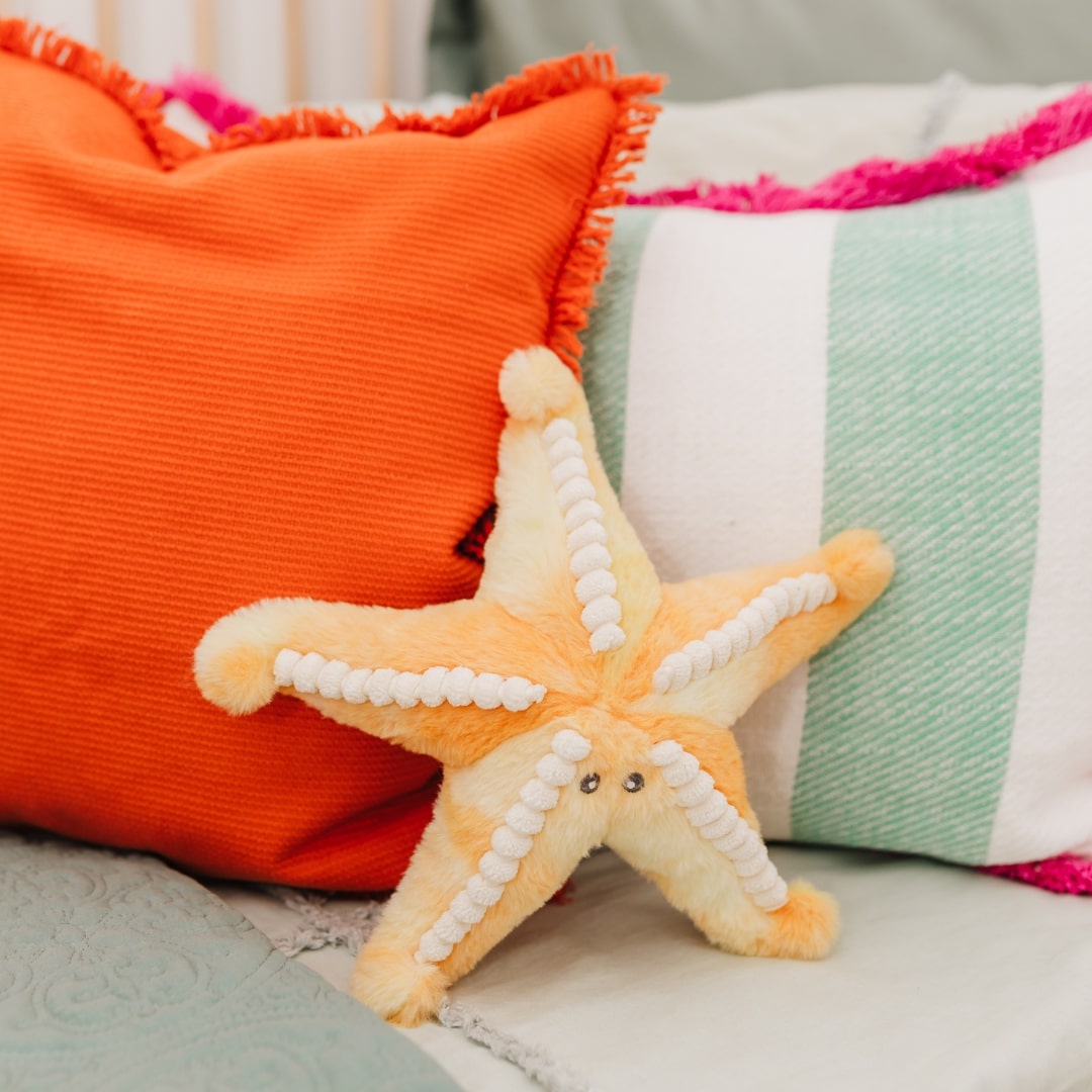 Bubble Plush Star Fish