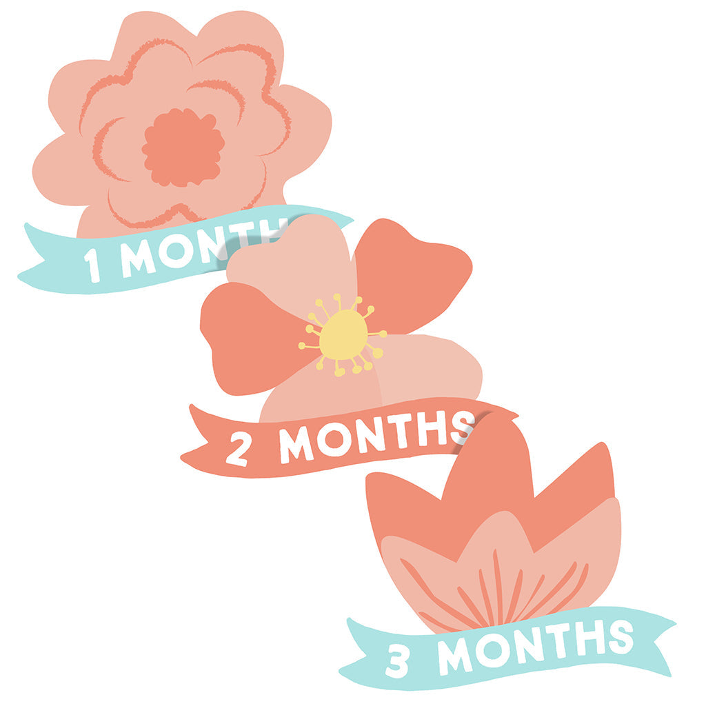 Pearhead Watch Me Grow Photo Blanket
